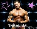 BATISTA  THE ANIMAL